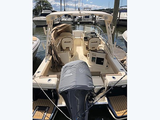 2016 Scout Dorado