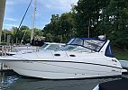 Chaparral Signature 300 1999