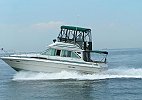 Sea Ray 340SB 1987