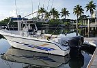 Sea Fox 287 Center Console 2003