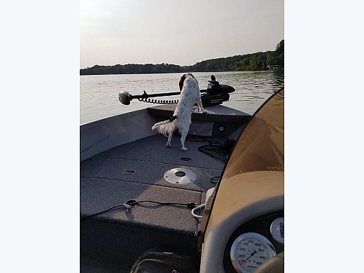 2008 Alumacraft Classic 165 CS