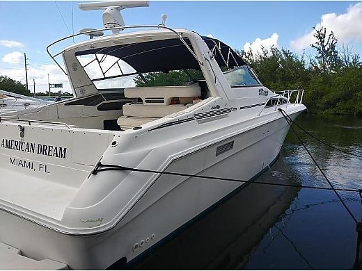 1991 Sea Ray Sundancer