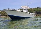 Contender 31 2003