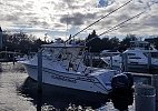 Grady-White Express 330 2008