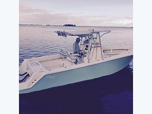 2014 Seavee 290B