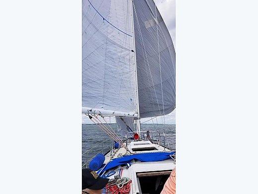 1981 Hunter Cherubini 54