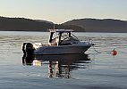 Robalo R265 Walkaround 2014