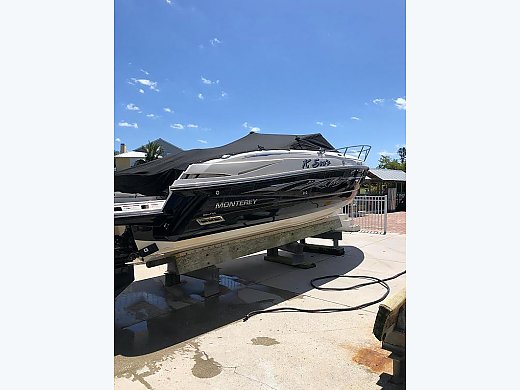 2010 Monterey 254FSX