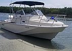 Boston Whaler Revenge 1979